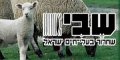 עמותת שב"י - שחרור בעלי-חיים ישראל